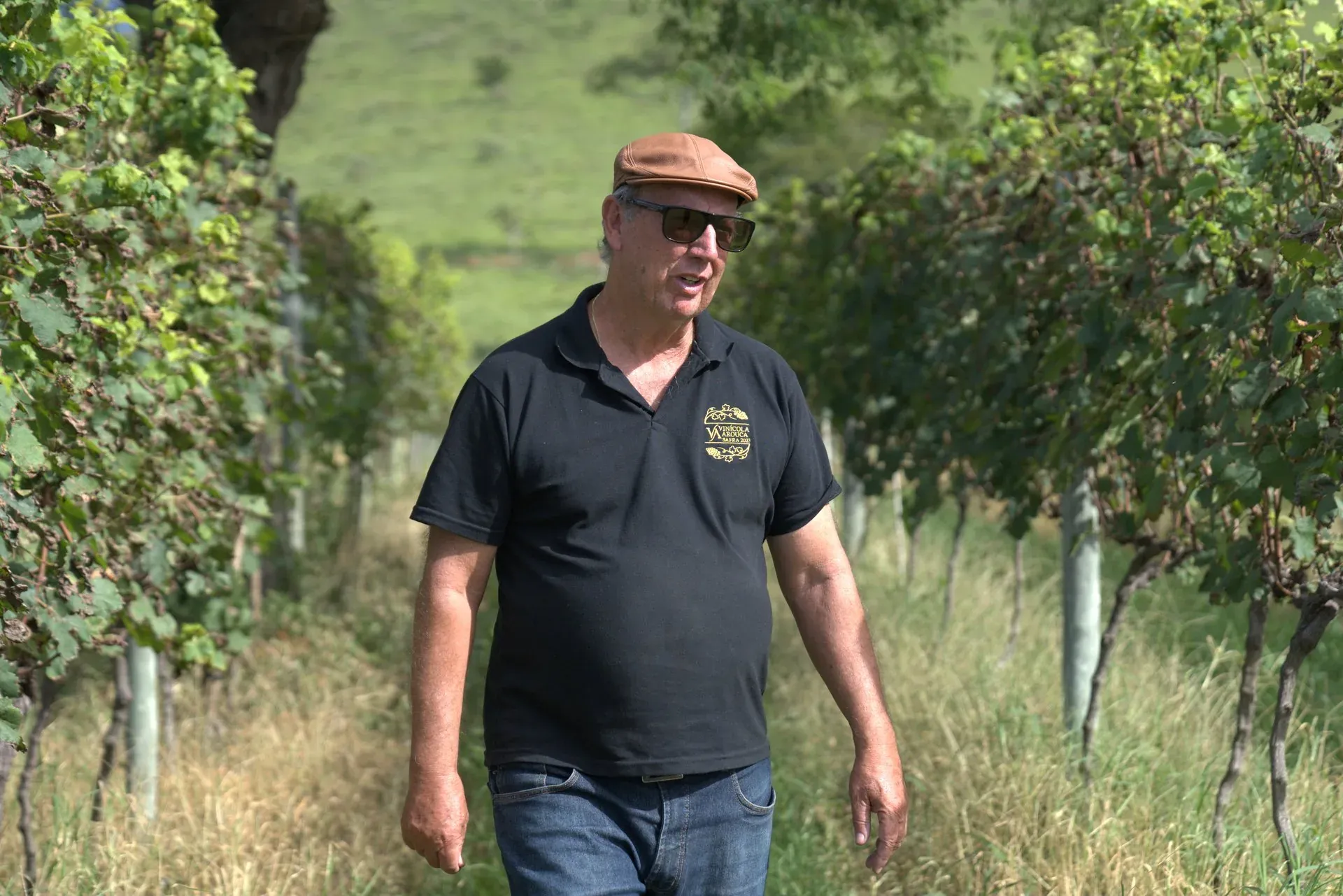 Maurício Arouca caminhando entre os parreirais